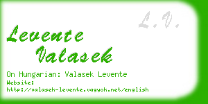 levente valasek business card